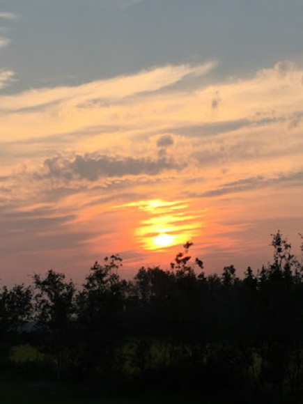 Meet your Posher, Rae - Picture 1 of 1